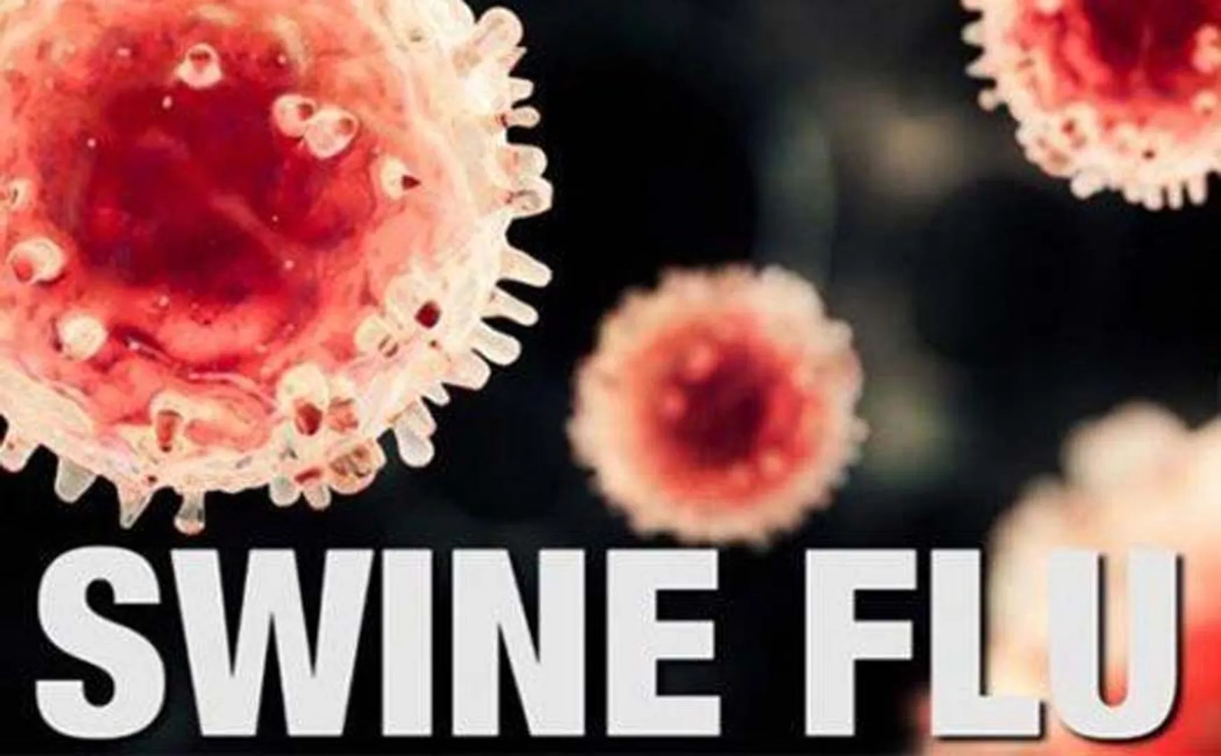 swine flu symptoms on Ex-Minister